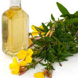 Organic Evening Primrose Oil