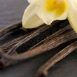 Organic Vanilla Beans