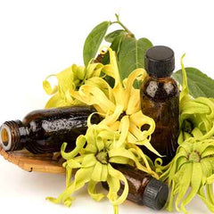 Organic Ylang Ylang Essential Oil