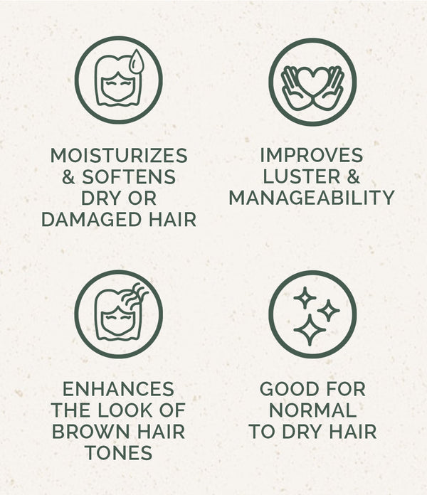 Shampoo-Bar: Cafe Moreno