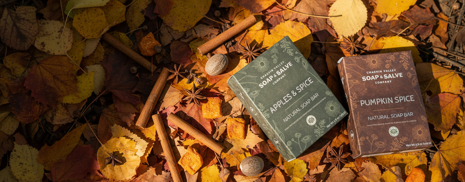 Organic Pumpkin Spice Soap. organic Apples and Spice Soap. Fall Seasonal Skincare. 