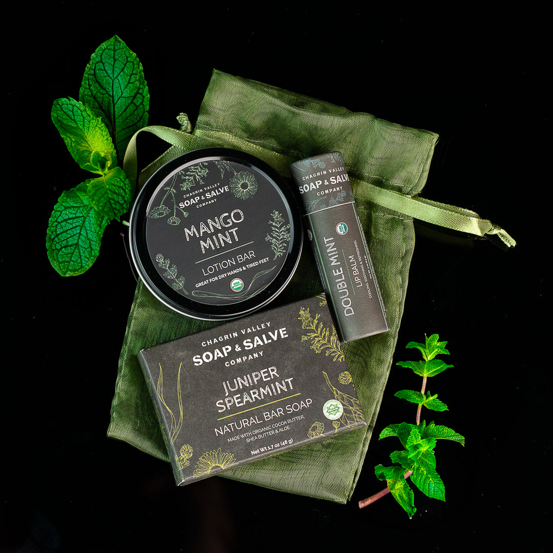 Gift: Soap-Lip Balm-Lotion Bar – Chagrin Valley Soap & Salve