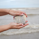 Lavender Rosemary natural soap bar