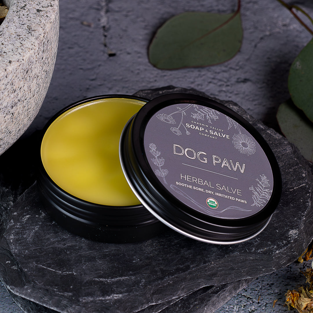 Organic Dog Paw Salve