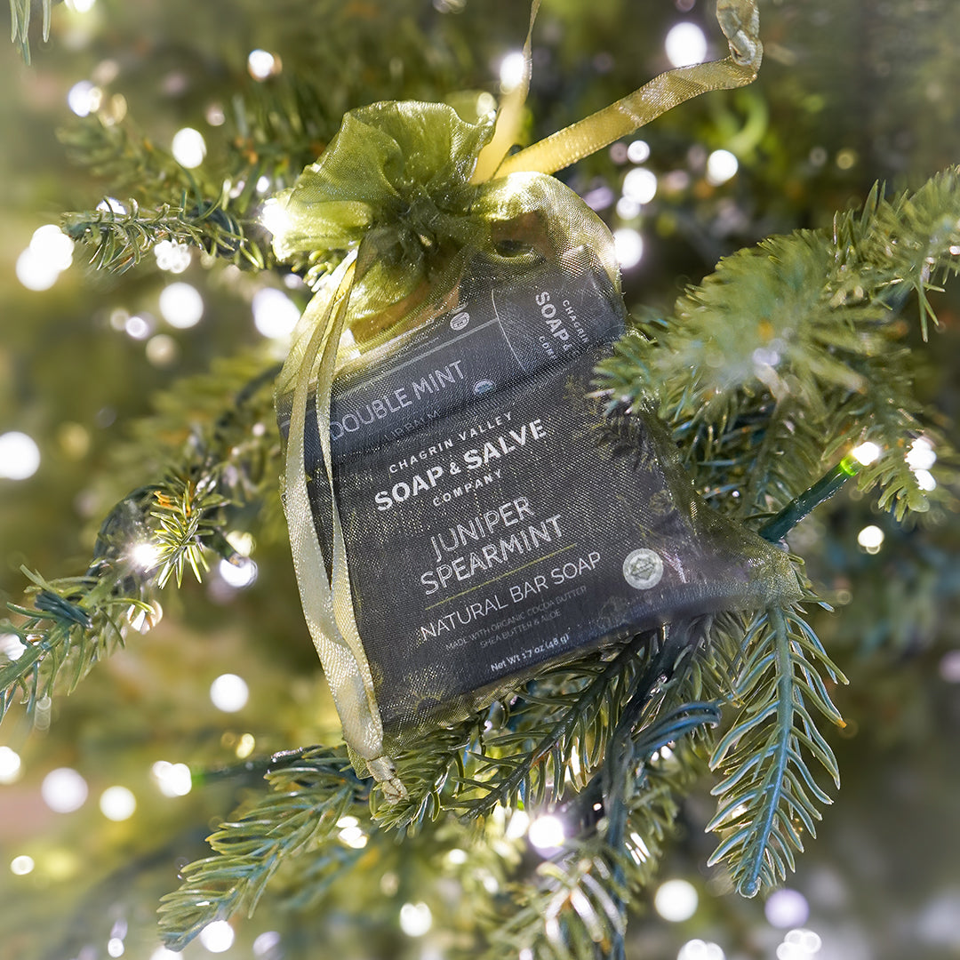 Gift: Soap-Lip Balm-Lotion Bar – Chagrin Valley Soap & Salve