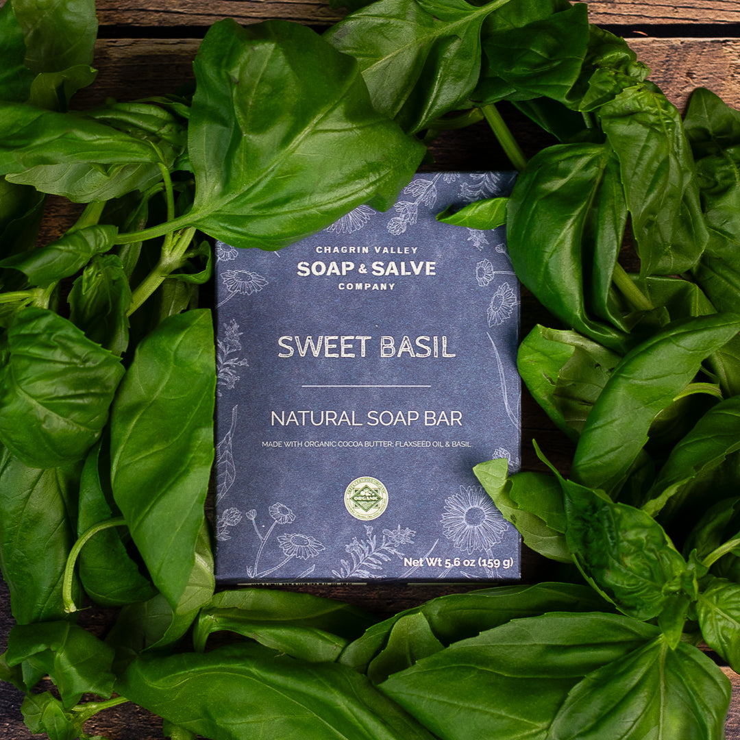 Sweet Basil natural soap bar box nestled in fresh basil leaves