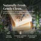 Rosemary Lavender shampoo bar benefits: organic aloe vera, rosemary, lavender & tea tree, no sulfates
