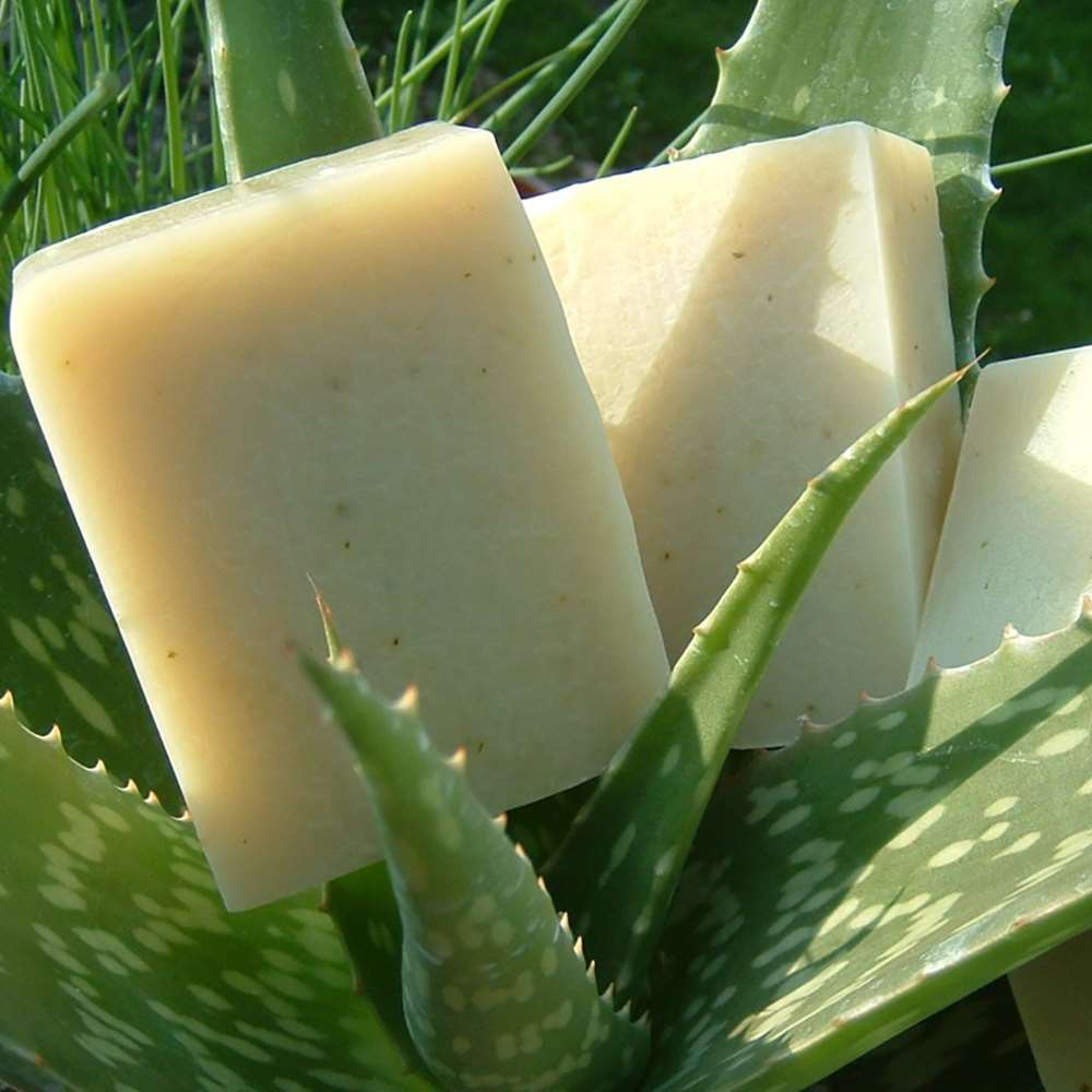 Soap: Aloe, Aloe, Aloe