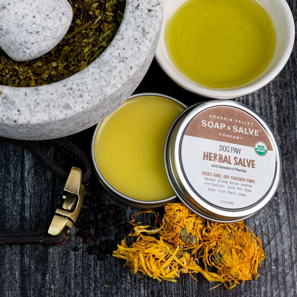 Dog Paw Salve