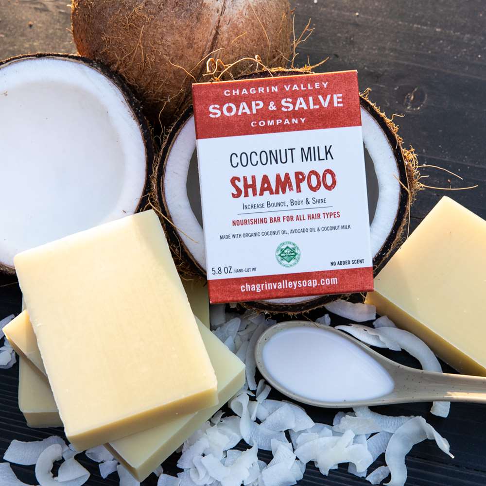 Shampoo Bar: Coconut Milk