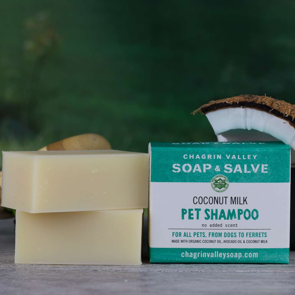 Dog/Pet Shampoo: Creamy Coconut Milk