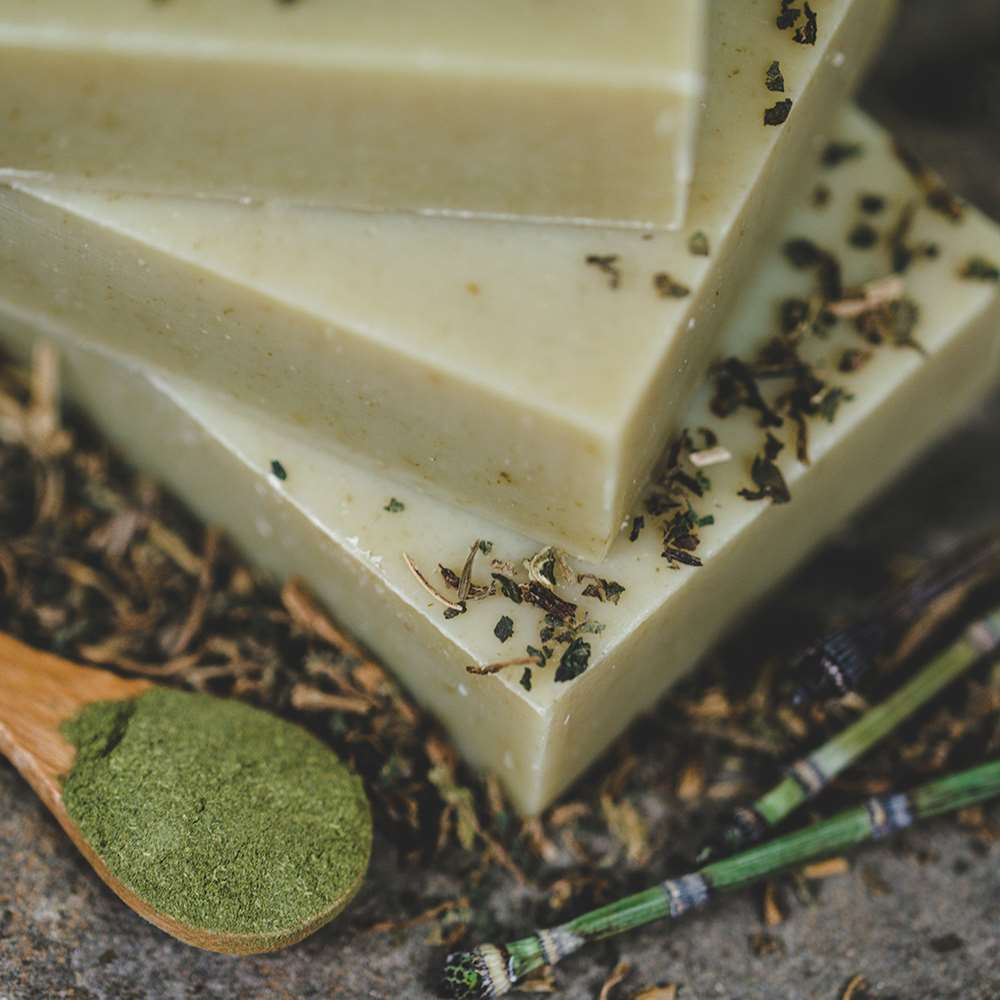 Shampoo Bar: Nettle