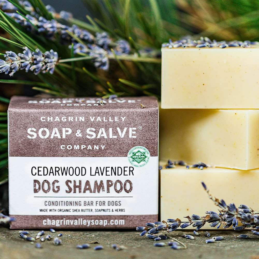 Dog Shampoo: Cedarwood Lavender – Chagrin Valley Soap & Salve