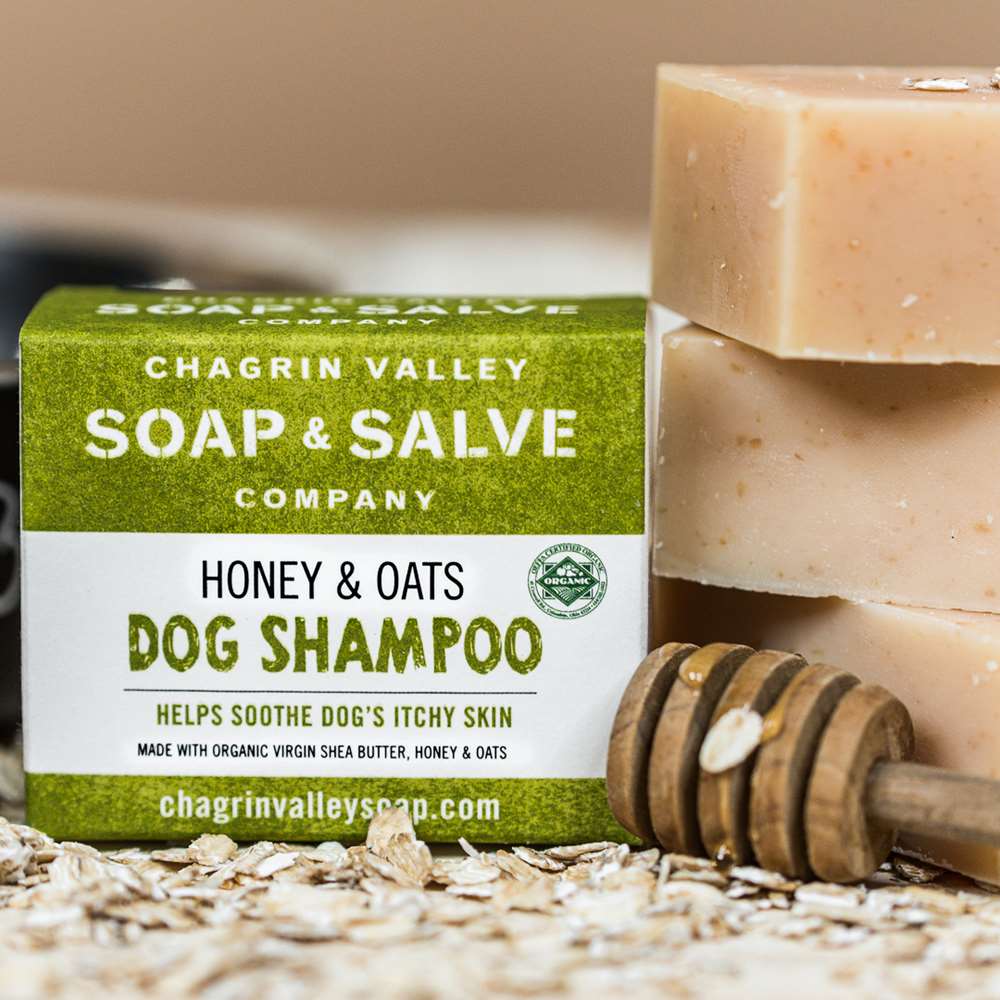 Dog Shampoo: Honey & Oats