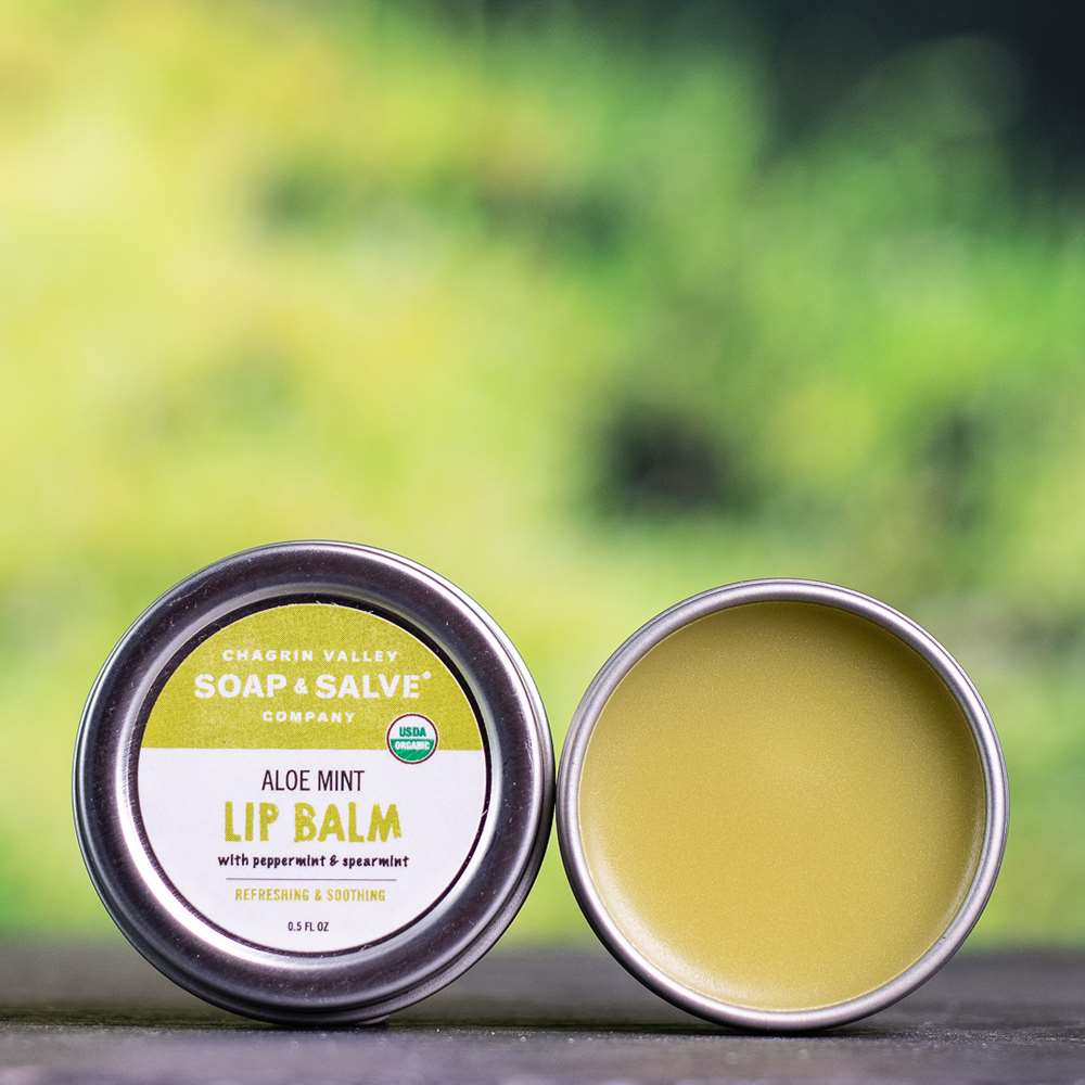 Lip Balm: Aloe Butter Doublemint