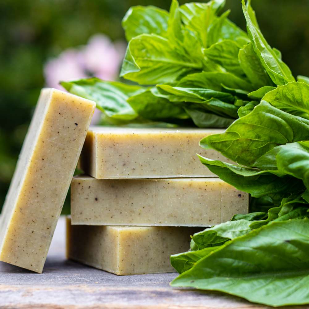 Natural Soap - Sweet Basil Scent