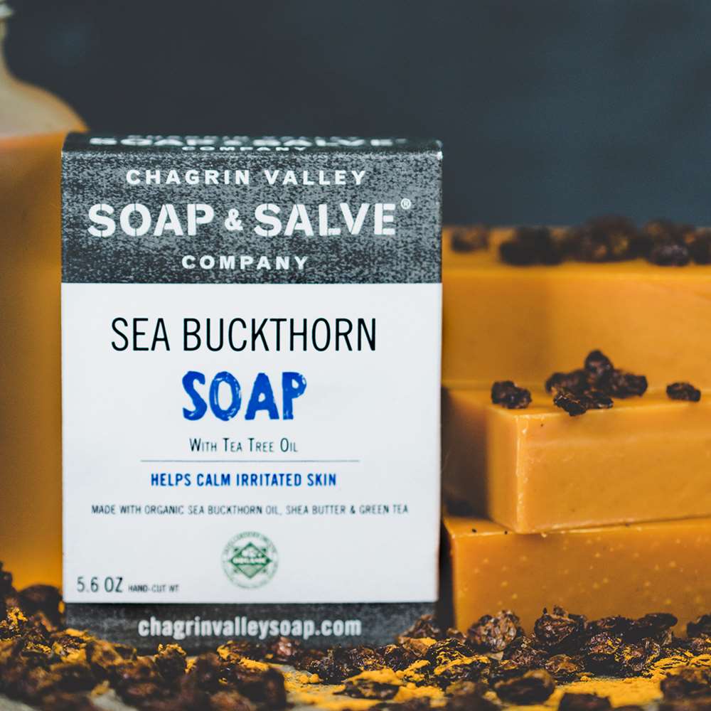 Natural Soap: Sea Buckthorn & Tea Tree – Chagrin Valley Soap & Salve