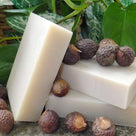 Shampoo Bar: Soapnuts Shampoo