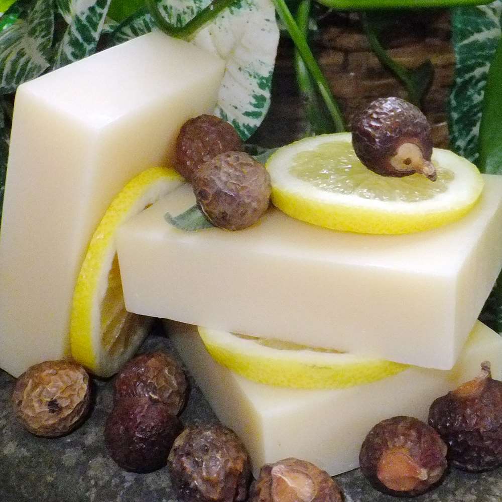 Shampoo Bar: Soapnuts Citrus Mint